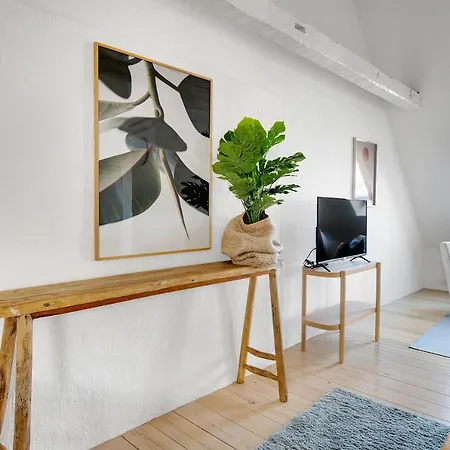 Sanders Main - Endearing Two-bedroom Duplex With A Balcony Next To Magical Nyhavn Apartamento